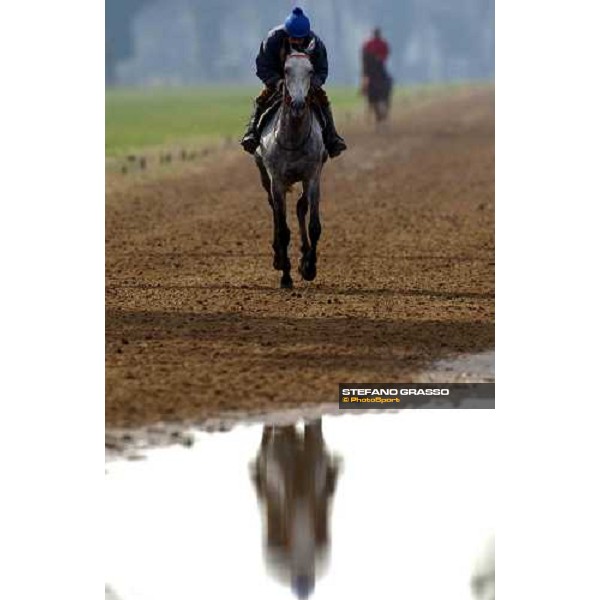 morning works at Pisa San Rossore march 11 2004 ph. Stefano Grasso