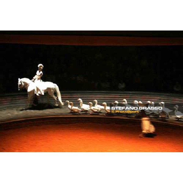 show Bartabas and Zingaro in ÇLoungta, les chevaux de ventÈ Rome, 8th october 2005 ph. Stefano Grasso