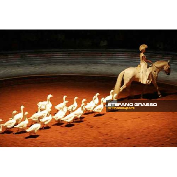show Bartabas and Zingaro in ÇLoungta, les chevaux de ventÈ Rome, 8th october 2005 ph. Stefano Grasso