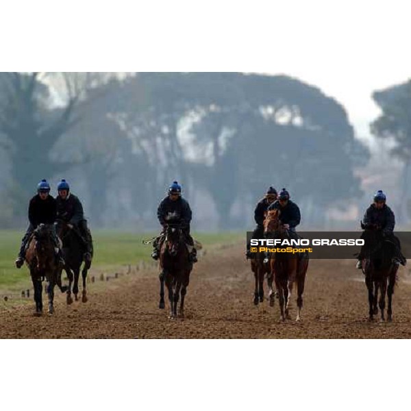 morning works at Pisa San Rossore march 11 2004 ph. Stefano Grasso