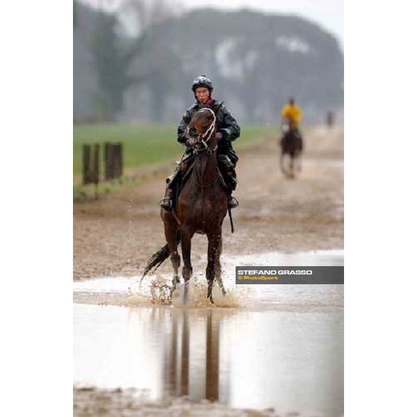 morning works at Pisa San Rossore march 10 2004 ph. Stefano Grasso