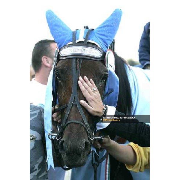 close up for Fairbank Gi, winner of 78¡ Derby Italiano del trotto Roma Tordivalle 9th october 2005 ph. Stefano Grasso