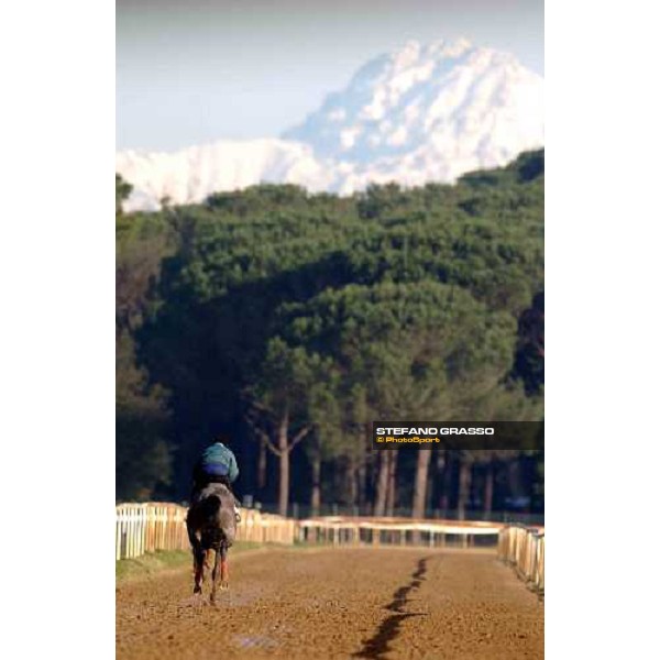 morning works at Pisa San Rossore march 11 2004 ph. Stefano Grasso