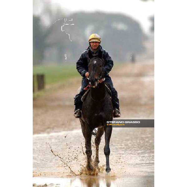 morning works at Pisa San Rossore march 10 2004 ph. Stefano Grasso