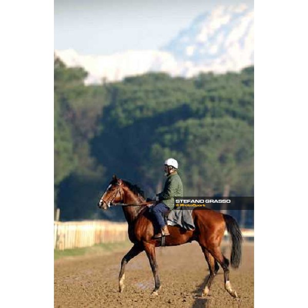 morning works at Pisa San Rossore march 11 2004 ph. Stefano Grasso