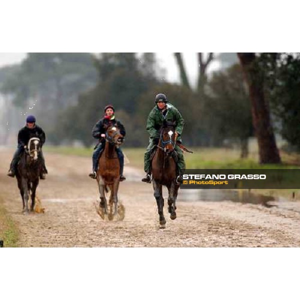 morning works at Pisa San Rossore march 10 2004 ph. Stefano Grasso