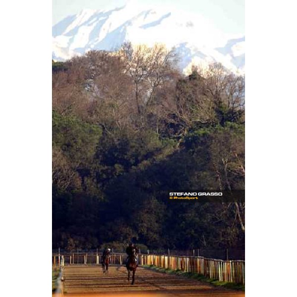 morning works at Pisa San Rossore march 11 2004 ph. Stefano Grasso