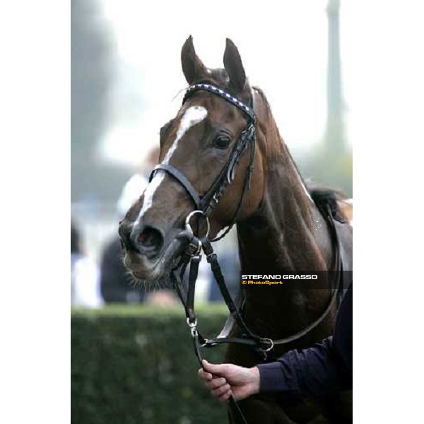 close up for Anna Monda winner of Premio Vittorio di Capua Milan, 15th october 2005 ph. Stefano Grasso