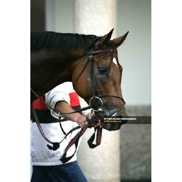 close up for Oh Dylan Boy Milan, 15th october 2005 ph. Stefano Grasso