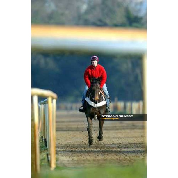 morning works at Pisa San Rossore march 11 2004 ph. Stefano Grasso