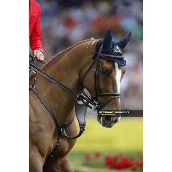 Aachen - FEI European Championships 2015 Piergiorgio Bucci on Catwalk Z Aachen,23rd August 2015 ph.Stefano Grasso/Loro Piana