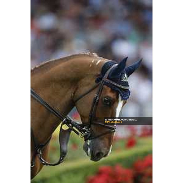 Aachen - FEI European Championships 2015 Piergiorgio Bucci on Catwalk Z Aachen,23rd August 2015 ph.Stefano Grasso/Loro Piana