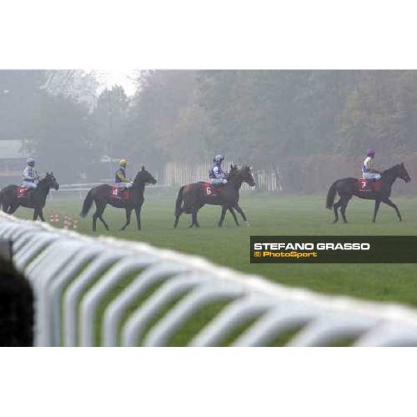 Near Dock, Martillo, De Sica and Distant way go to the start of Premio Vittorio di Capua Milan, 15th october 2005 ph. Stefano Grasso