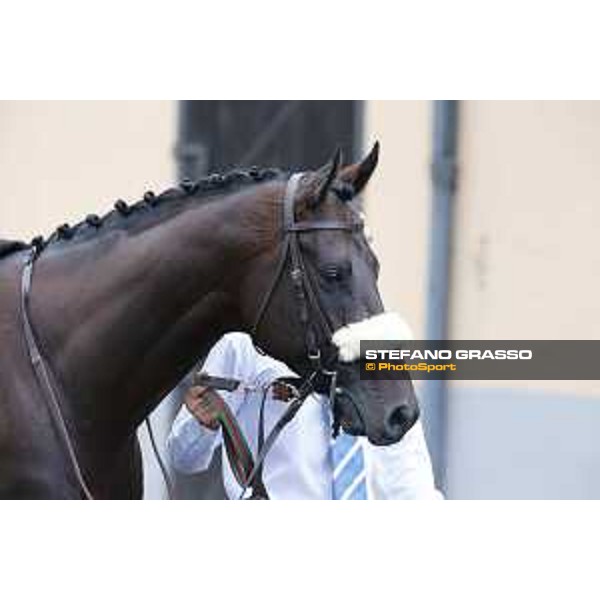 Kaspersky Rome,Capannelle racecourse,08/09/2015 ph.Stefano Grasso