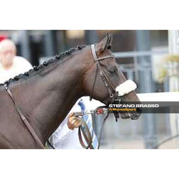 Kaspersky Rome,Capannelle racecourse,08/09/2015 ph.Stefano Grasso