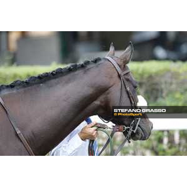 Kaspersky Rome,Capannelle racecourse,08/09/2015 ph.Stefano Grasso