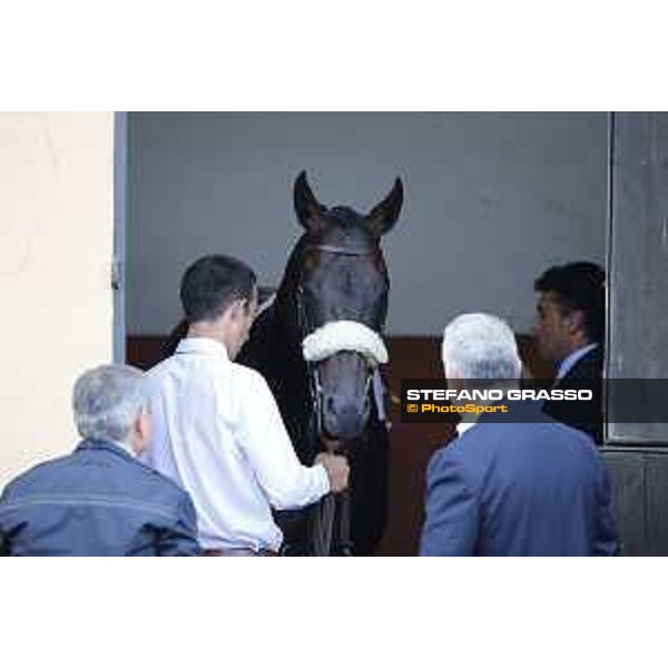Andrea Scarpellini and Kaspersky Rome,Capannelle racecourse,08/09/2015 ph.Stefano Grasso