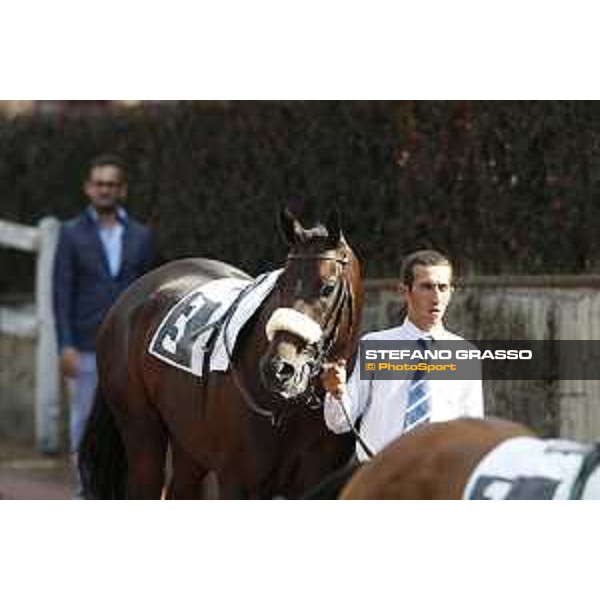 Kaspersky Rome,Capannelle racecourse,08/09/2015 ph.Stefano Grasso