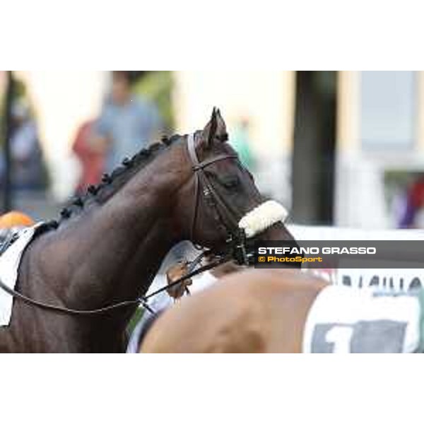 Kaspersky Rome,Capannelle racecourse,08/09/2015 ph.Stefano Grasso