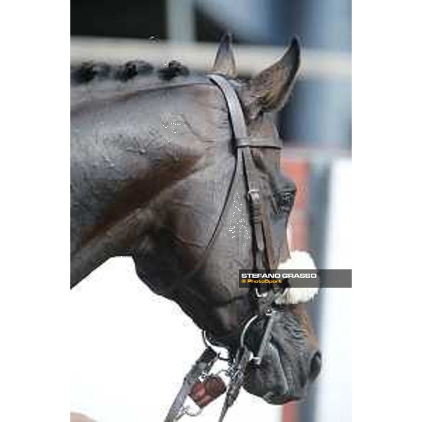Kaspersky Rome,Capannelle racecourse,08/09/2015 ph.Stefano Grasso