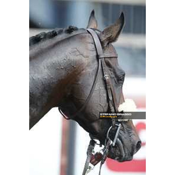 Kaspersky Rome,Capannelle racecourse,08/09/2015 ph.Stefano Grasso