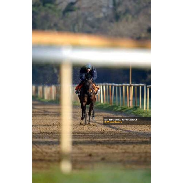 morning works at Pisa San Rossore march 11 2004 ph. Stefano Grasso