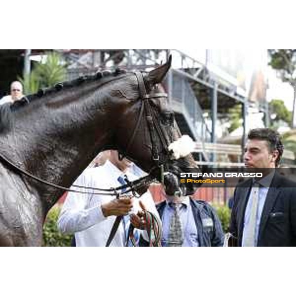 Endo Botti and Kaspersky Rome,Capannelle racecourse,08/09/2015 ph.Stefano Grasso