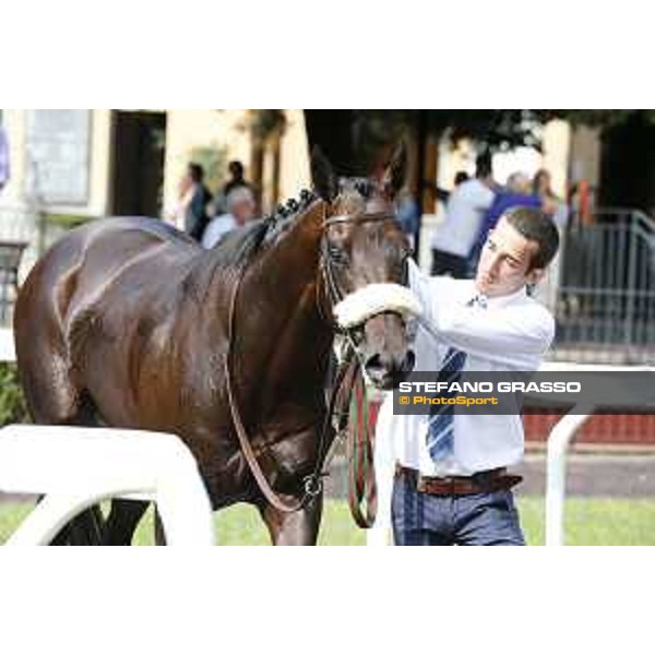 Kaspersky Rome,Capannelle racecourse,08/09/2015 ph.Stefano Grasso