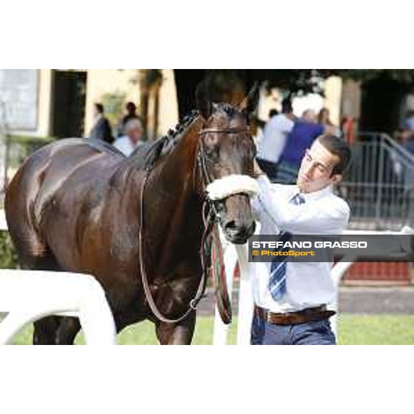 Kaspersky Rome,Capannelle racecourse,08/09/2015 ph.Stefano Grasso