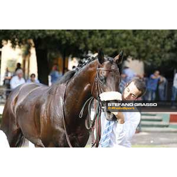Kaspersky Rome,Capannelle racecourse,08/09/2015 ph.Stefano Grasso