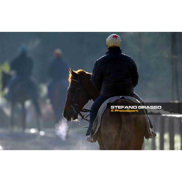morning works at Pisa San Rossore march 11 2004 ph. Stefano Grasso