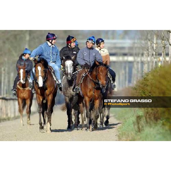 morning works at Pisa San Rossore march 11 2004 ph. Stefano Grasso