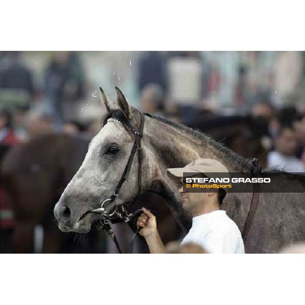 Great Uncle Ted Milan, 16th october 2005 ph. Stefano Grasso