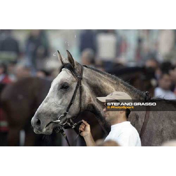 Great Uncle Ted Milan, 16th october 2005 ph. Stefano Grasso