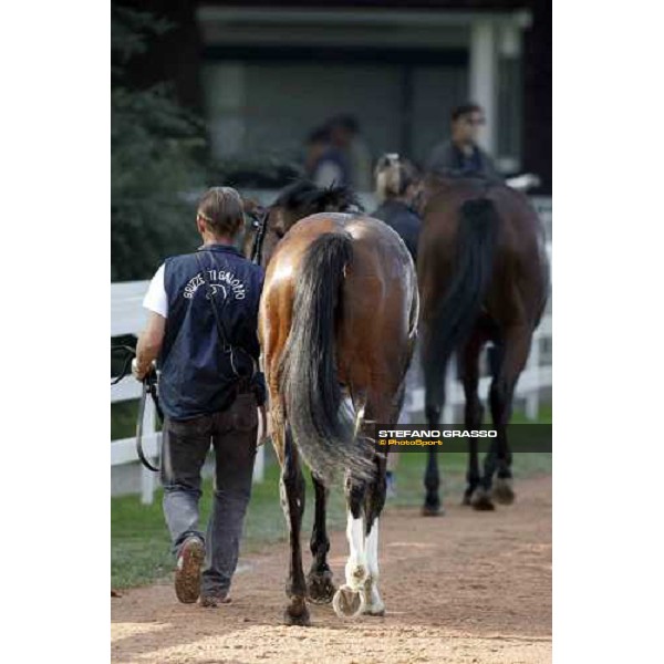 Salar Violety winner of Premio Eupili Milan, 16th october 2005 ph. Stefano Grasso