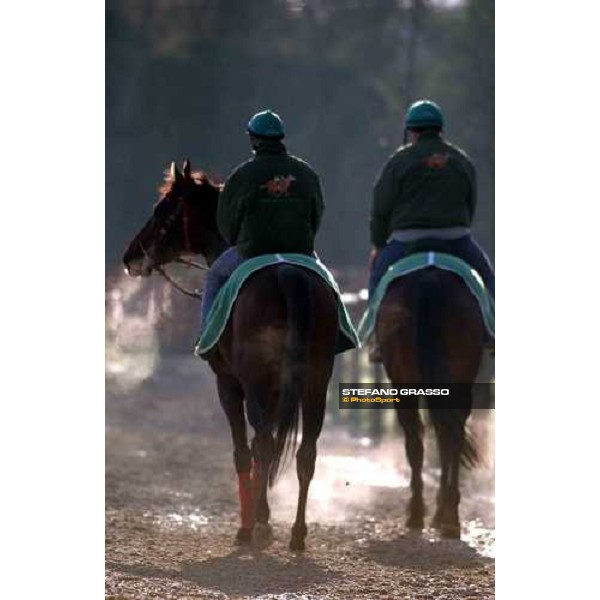 morning works at Pisa San Rossore march 11 2004 ph. Stefano Grasso