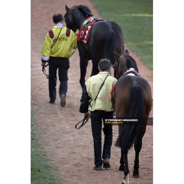 Elecric Beat and Anna Monda in the parade ring of Gran Criterium Milan, 16th october 2005 ph. Stefano Grasso