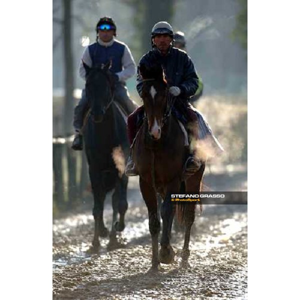 morning works at Pisa San Rossore march 11 2004 ph. Stefano Grasso