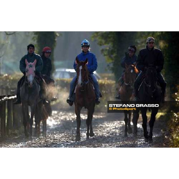 morning works at Pisa San Rossore march 11 2004 ph. Stefano Grasso