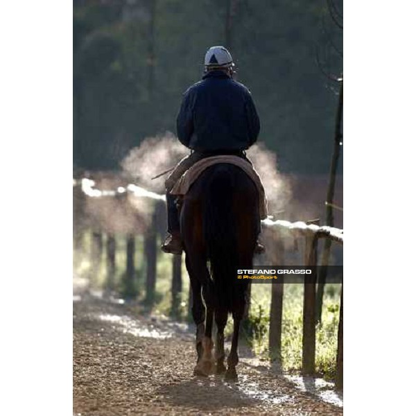 morning works at Pisa San Rossore march 11 2004 ph. Stefano Grasso