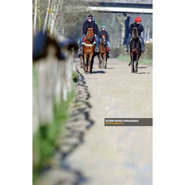 morning works at Pisa San Rossore march 11 2004 ph. Stefano Grasso