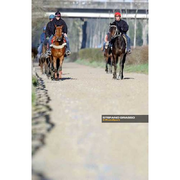 morning works at Pisa San Rossore march 11 2004 ph. Stefano Grasso