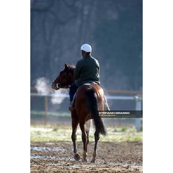 morning works at Pisa San Rossore march 11 2004 ph. Stefano Grasso