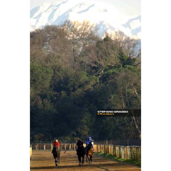 morning works at Pisa San Rossore march 11 2004 ph. Stefano Grasso