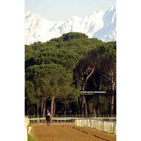 morning works at Pisa San Rossore march 11 2004 ph. Stefano Grasso