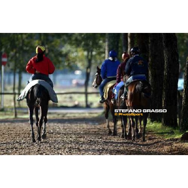 morning works at Pisa San Rossore march 11 2004 ph. Stefano Grasso