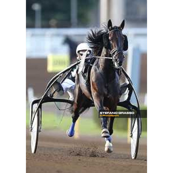 Enrico Bellei with Testimonial Ok wins the 88° Derby Italiano del Trotto Sisal Mathpoint Roma.Capannelle racecourse 11/10/2015 ph.Stefano Grasso