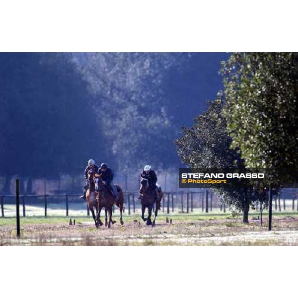 morning works at Pisa San Rossore march 11 2004 ph. Stefano Grasso