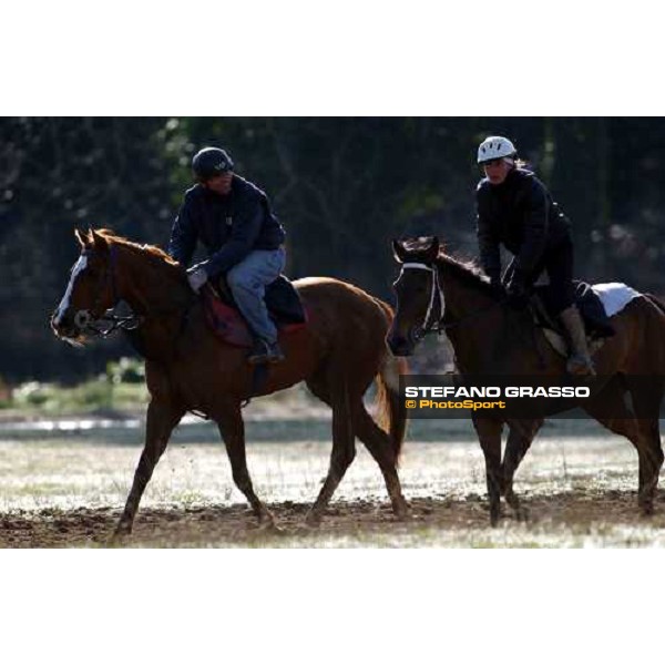 morning works at Pisa San Rossore march 11 2004 ph. Stefano Grasso