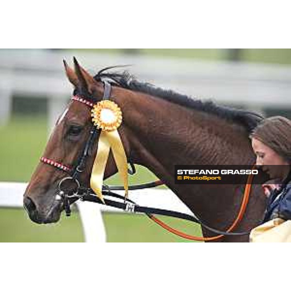 Lovelyn after winning the 93° Gran Premio del Jockey Club Milano,18th october 2015 ph.Stefano Grasso